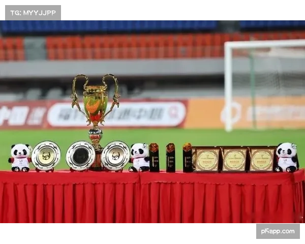 熊猫杯赛事成都连续举办 成国际青年足球交流平台